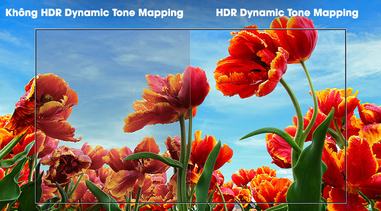 HDR Dynamic Tone Mapping