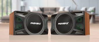 Cặp loa Karaoke Paramax LX-1200 500W 1