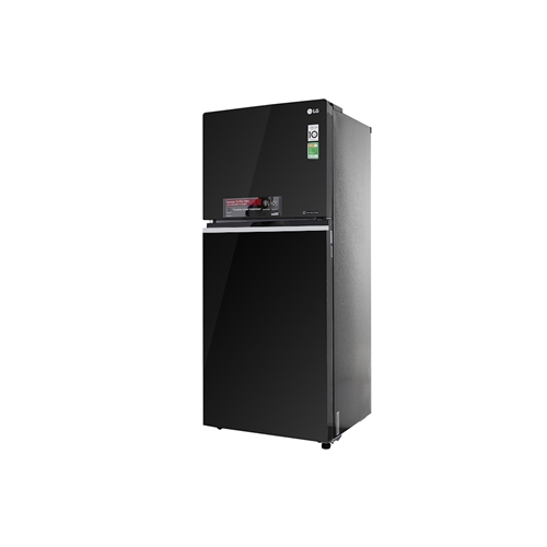 Tủ lạnh LG Inverter 393 lít GN-L422GB 2
